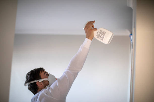 Best Localized Mold Remediation (e.g., coastal areas, humid climates) in Interlaken, CA